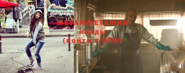 гидра Вязьма