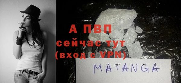 гидра Вязьма