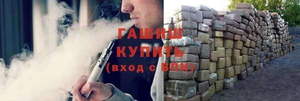 гидра Вязьма