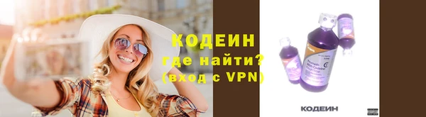 гидра Вязьма