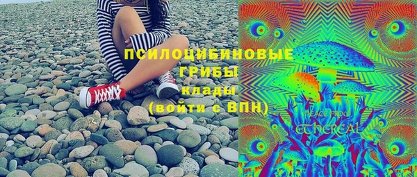 гидра Вязьма