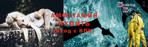 гидра Вязьма