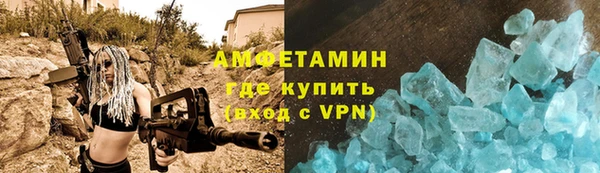 гидра Вязьма