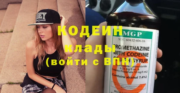 гидра Вязьма