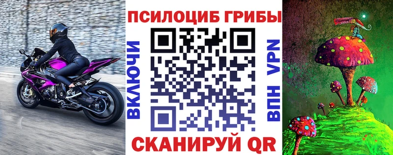 Купить  Майский  Псилоцибиновые грибы MAGIC MUSHROOMS 